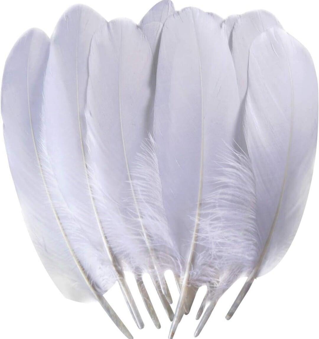 White Goose Feather for Craft Work and Decoration